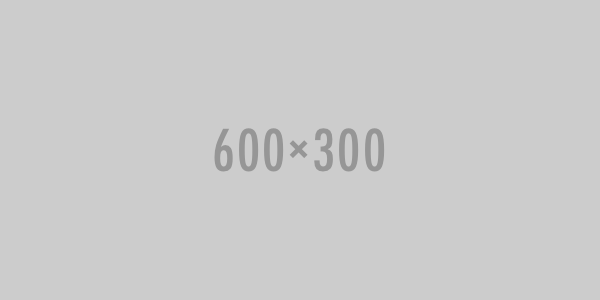 600x300.png